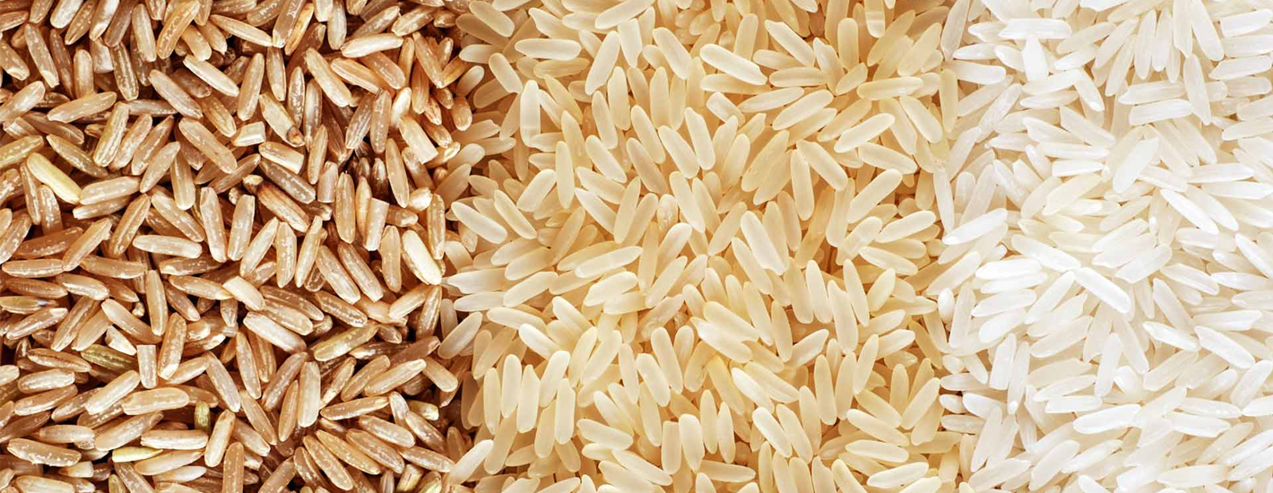 Over rijst